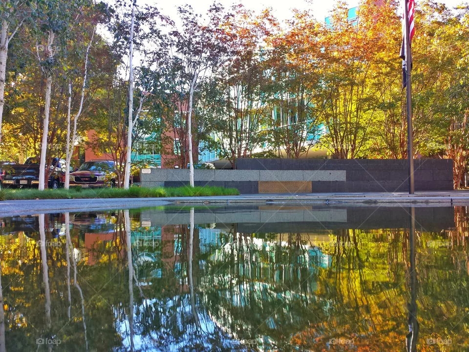 Reflection
