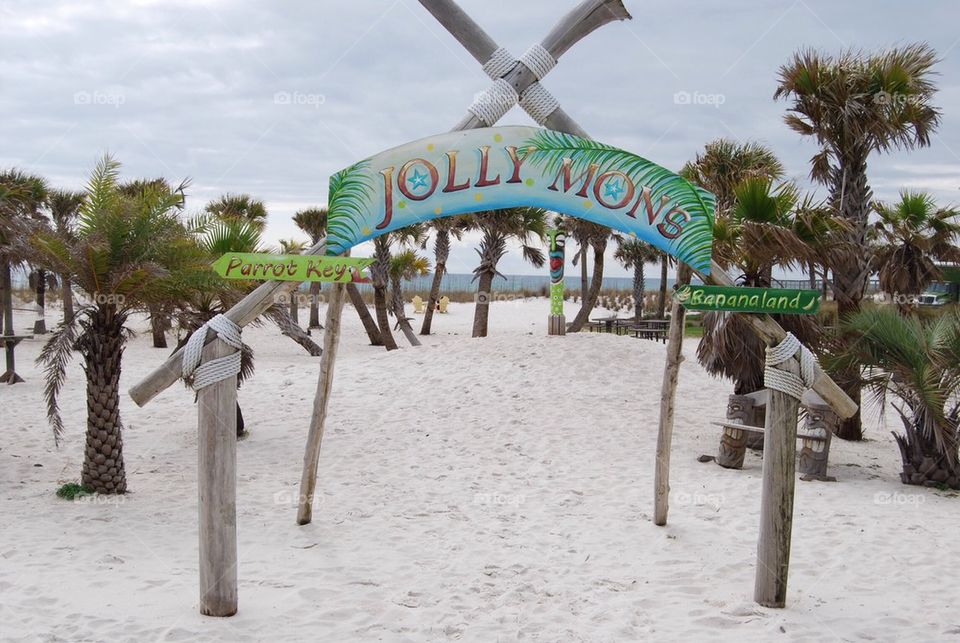 Beach sand palm trees sign