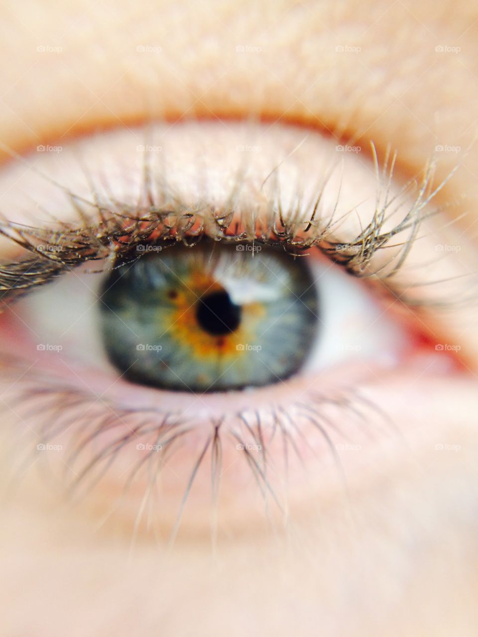 Eyeball, Eyelash, Eyesight, Vision, Retina