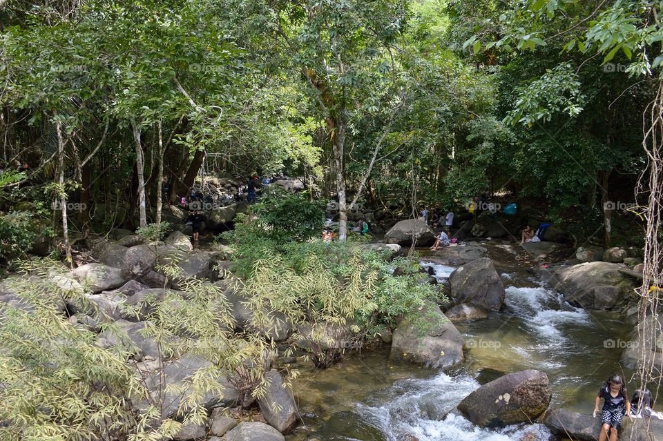 Khao chamao forest in rayong thailand