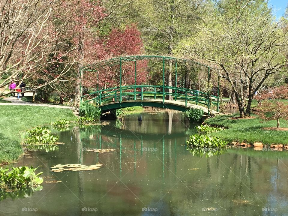 Japanese Garden- Monet