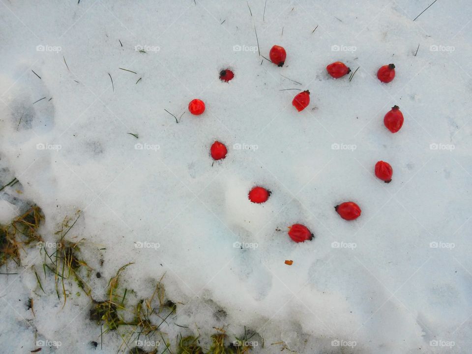 heart on snow