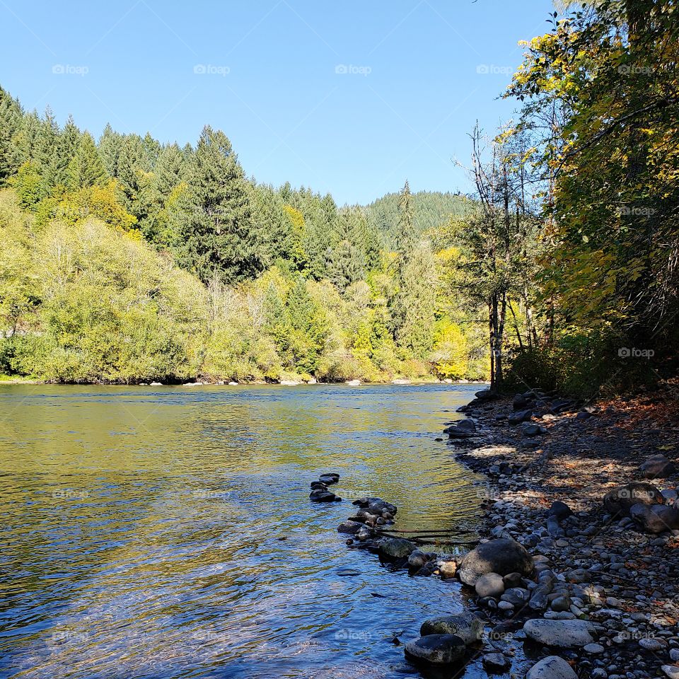 Rocks, trees, and fall foliage in beautiful colors along the banks of the McKenzie River in Western Oregon on a sunny autumn day.