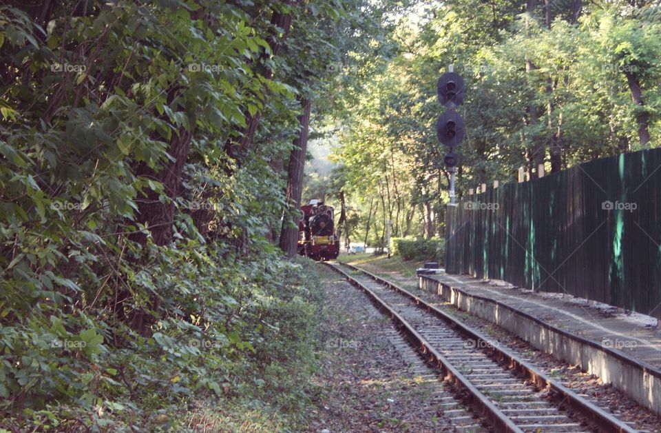 Locomotive. Railway for children in the park