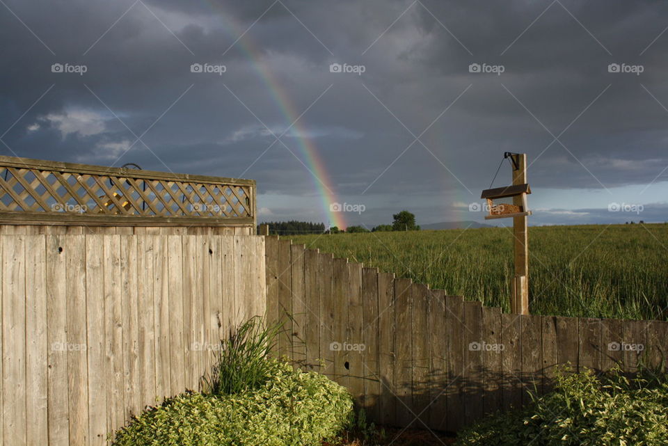 double rainbow