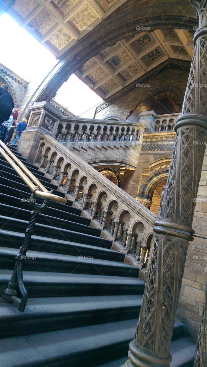 inside the natural history museum