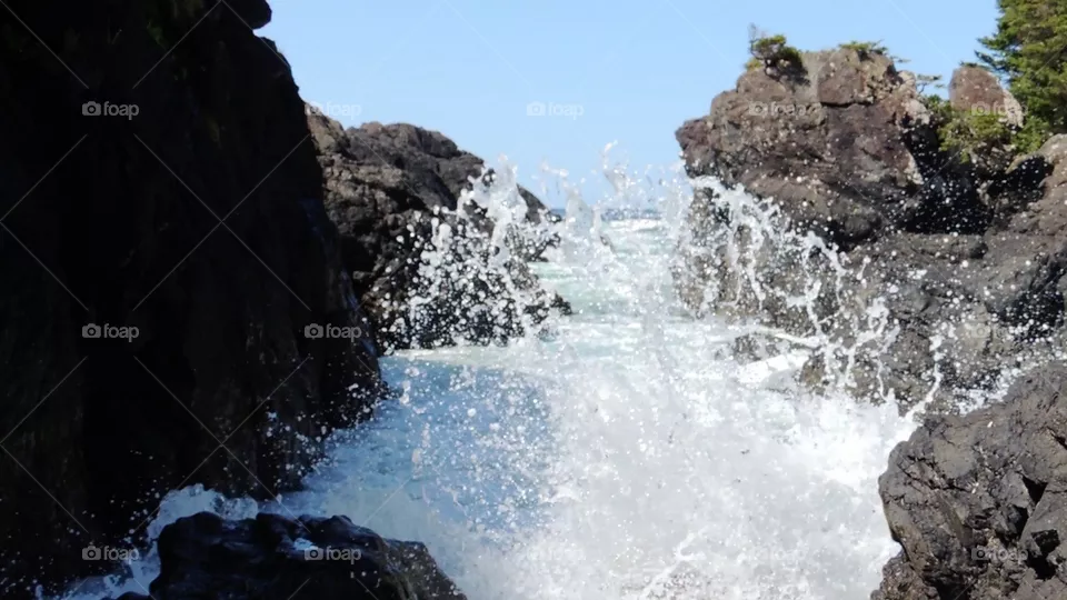 Waves 