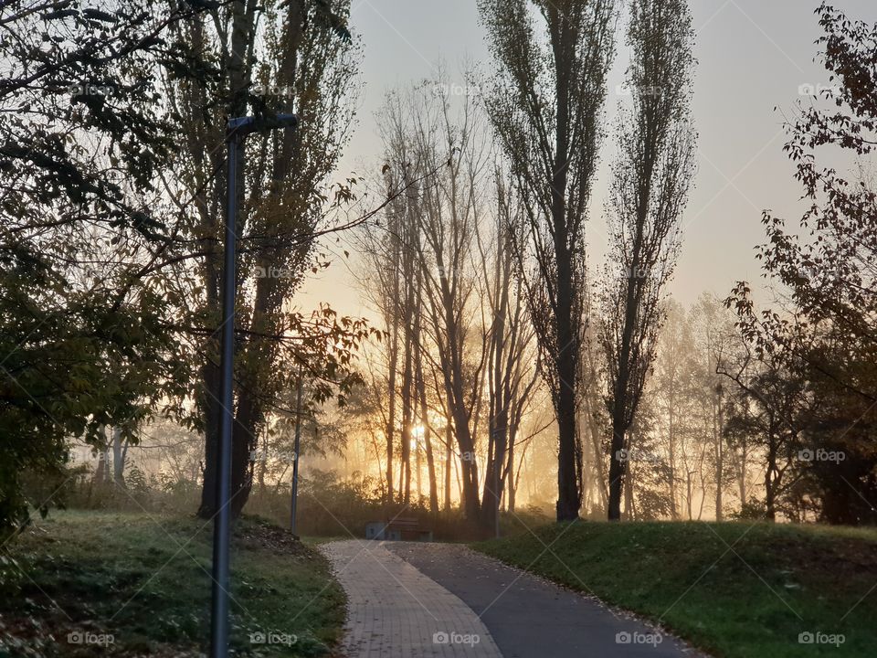 wschód słońca we mgle