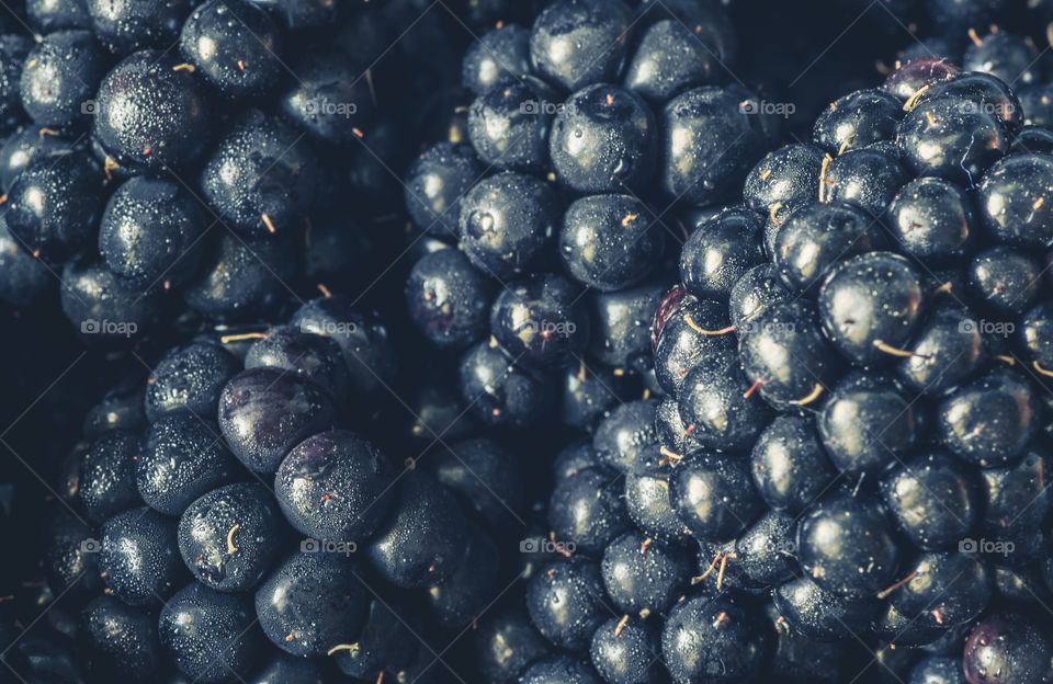 Closeup blackberries