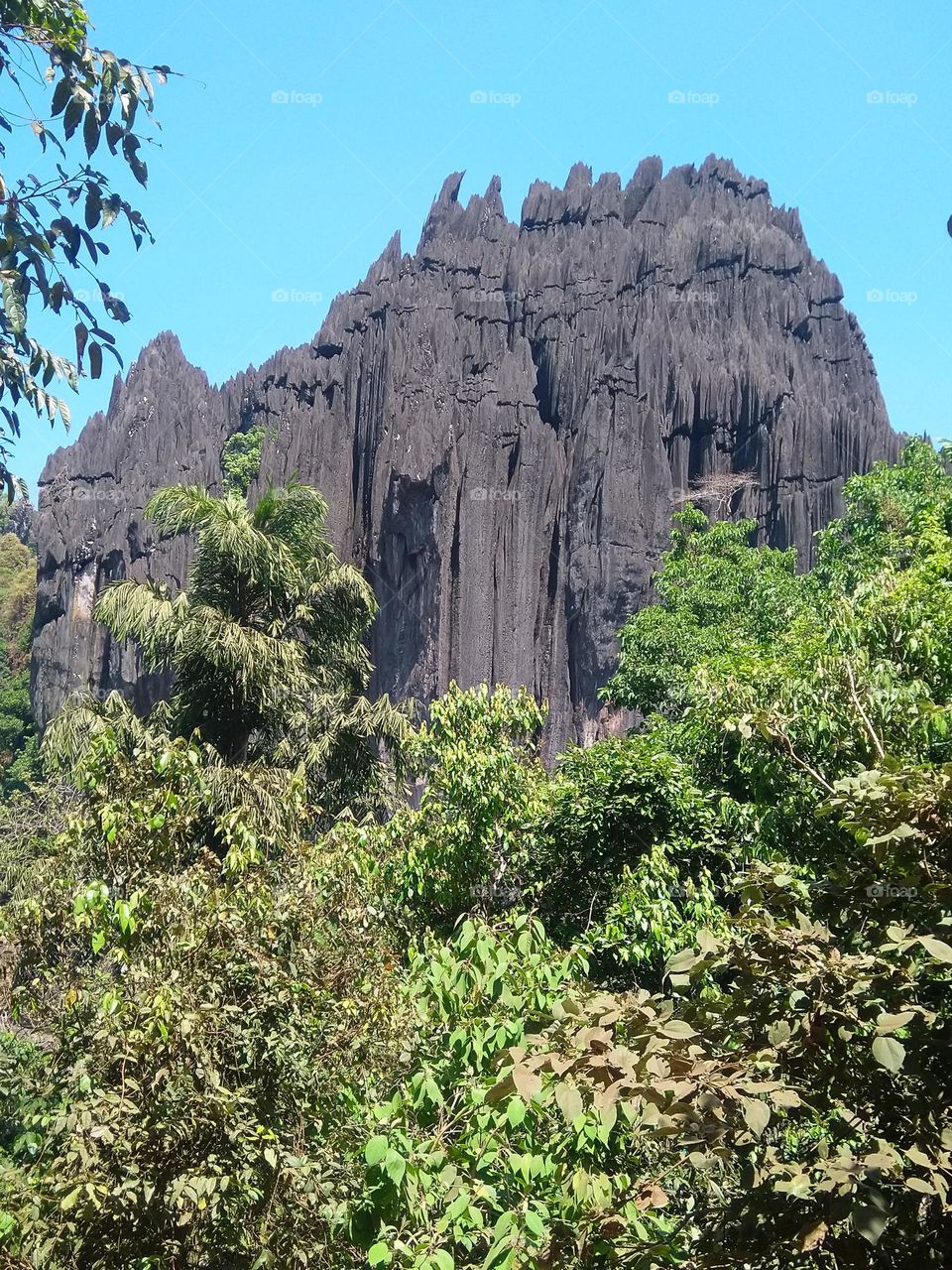 Magical natural rock structure in jungle