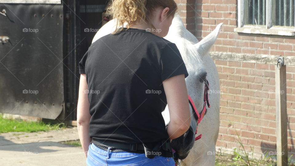 Bolle thé horse with boss