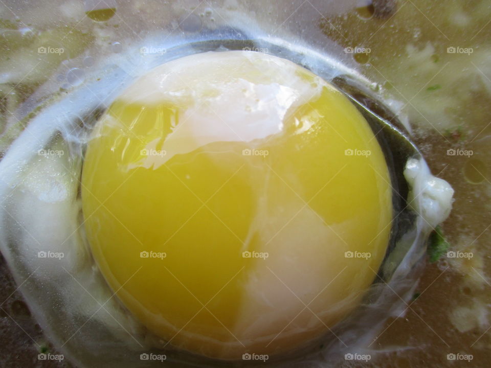 egg