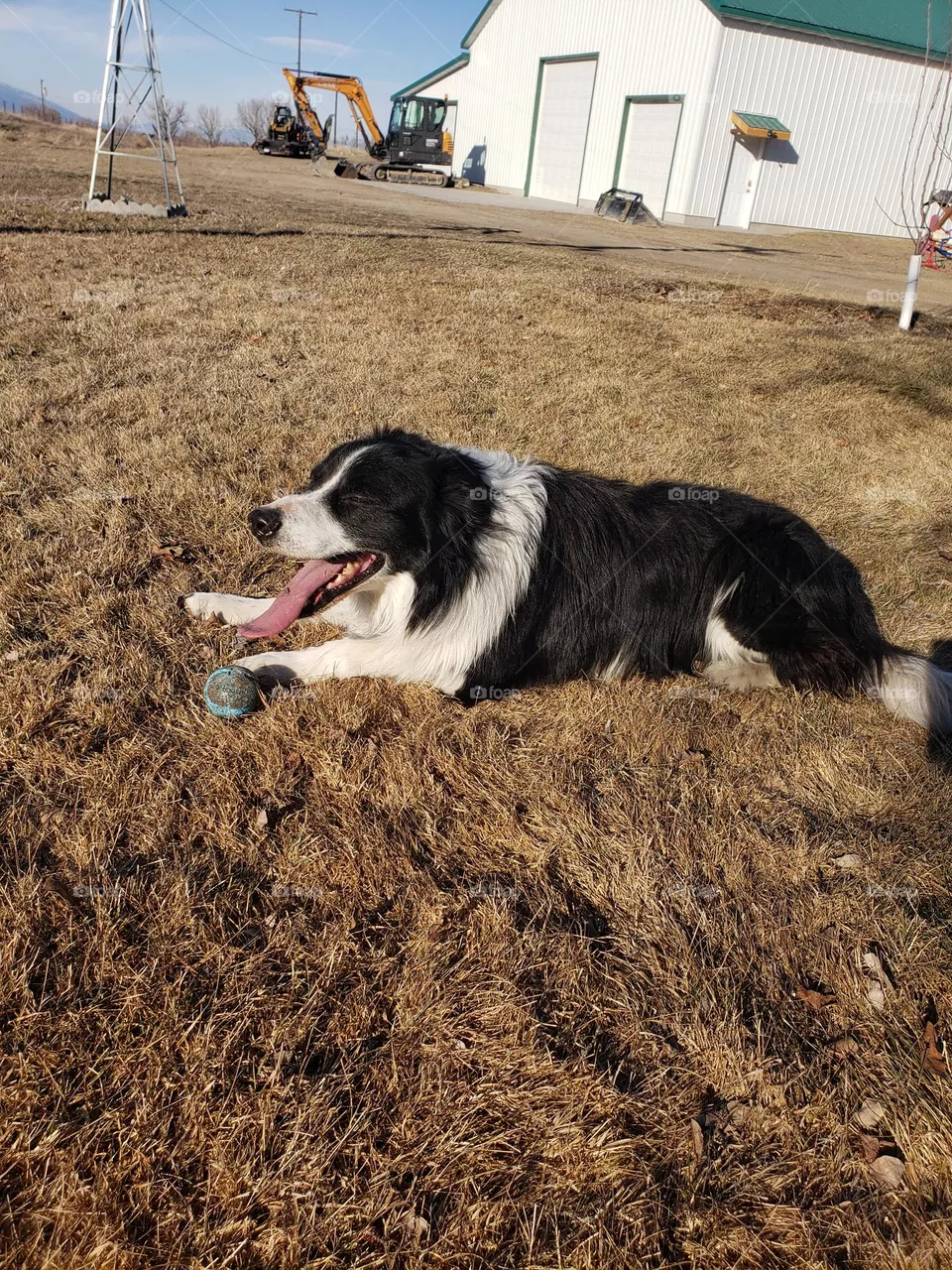 Ball Life