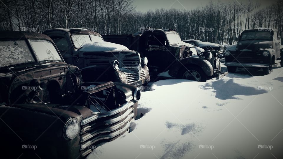 abandoned vehicles in the snow