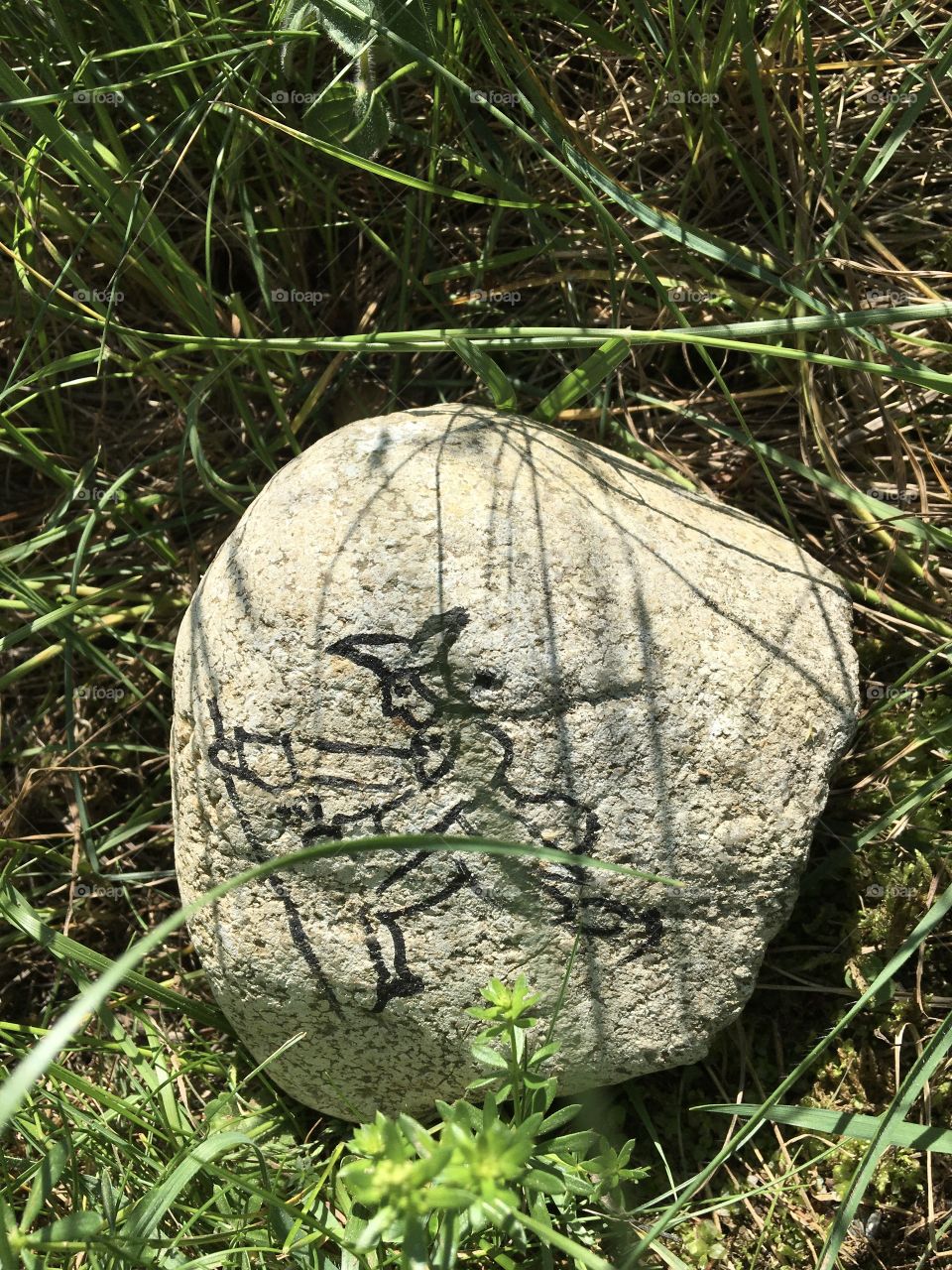 Lonely walker as J. J. Rousseau drawn on a stone along path