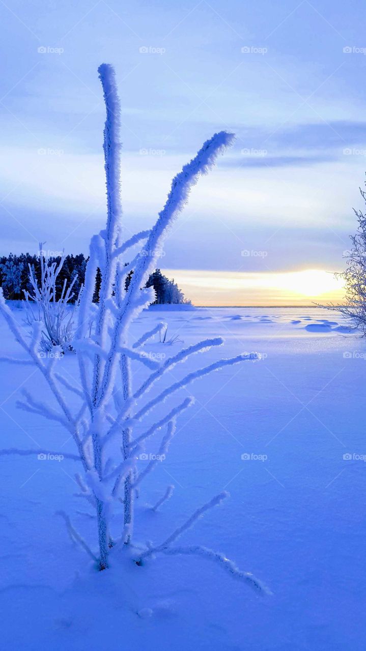 the return of the sun