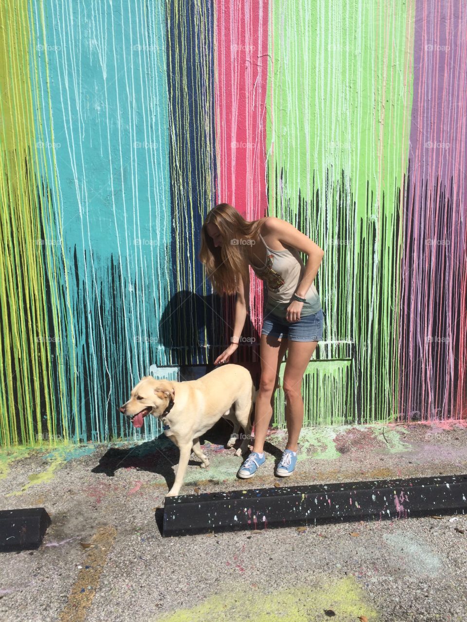 Dogs like street art too