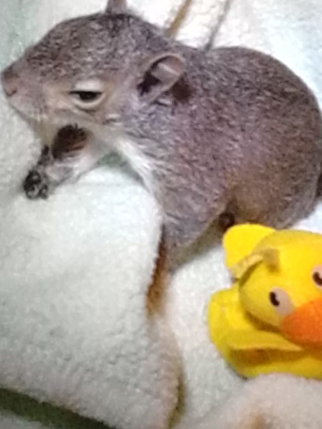 cute