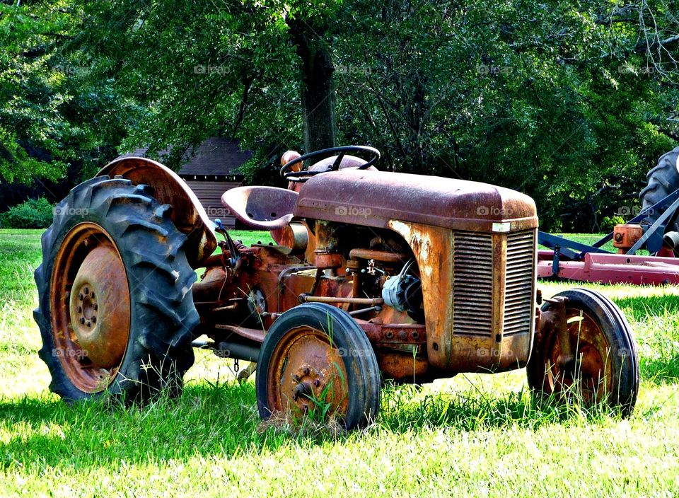 Georgia Tractor