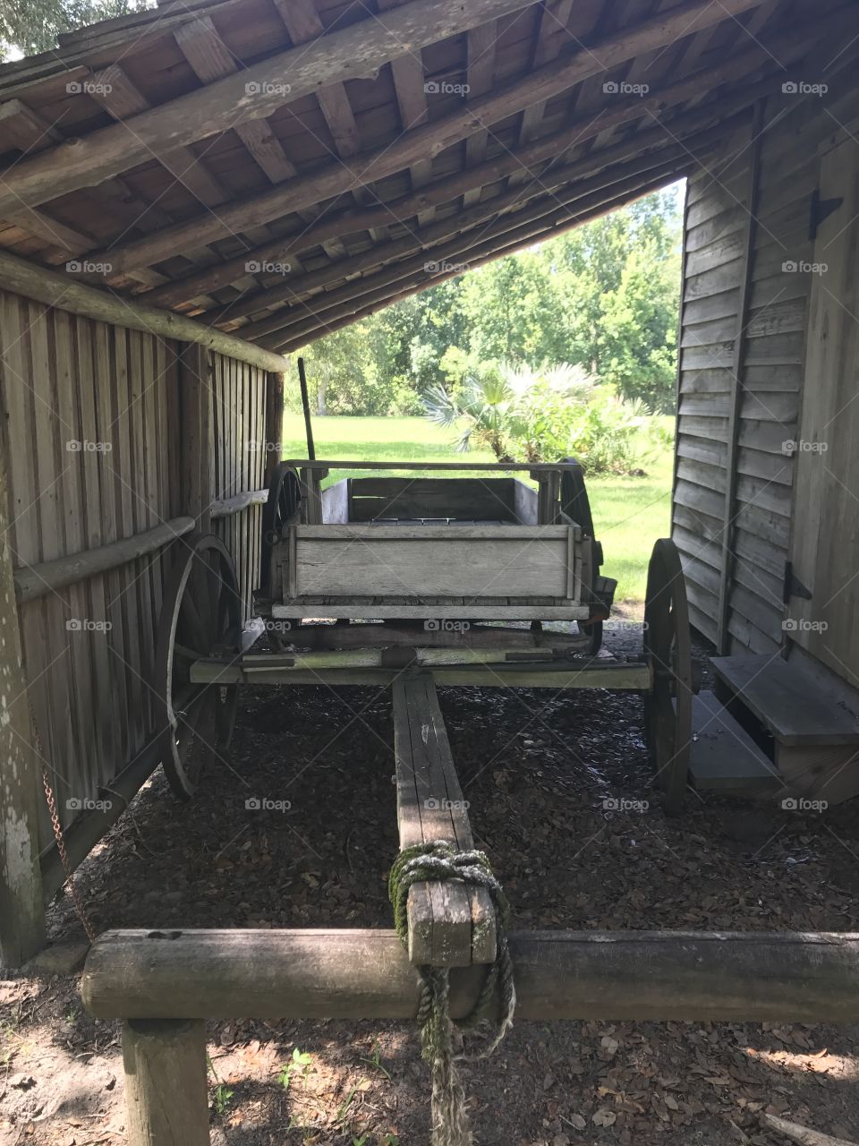 Click by Selsa.  A University of Central Florida student located in Orlando. Follow me @Selsa.clicks 