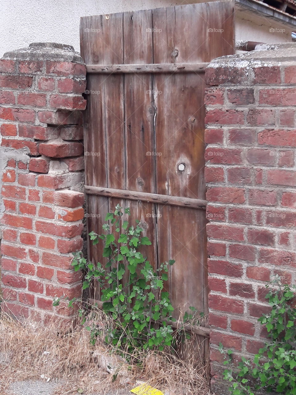 Abandoned gate