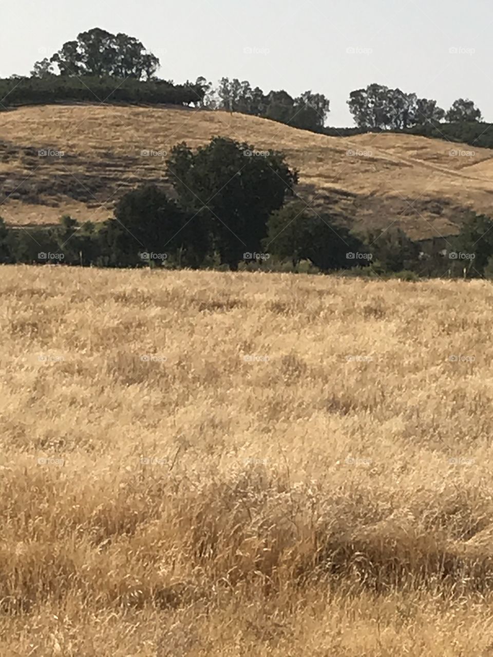 Lost Lake Recreation Area.