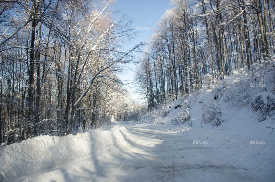 Vacation Series, Winter Road Trip, Bulgaria