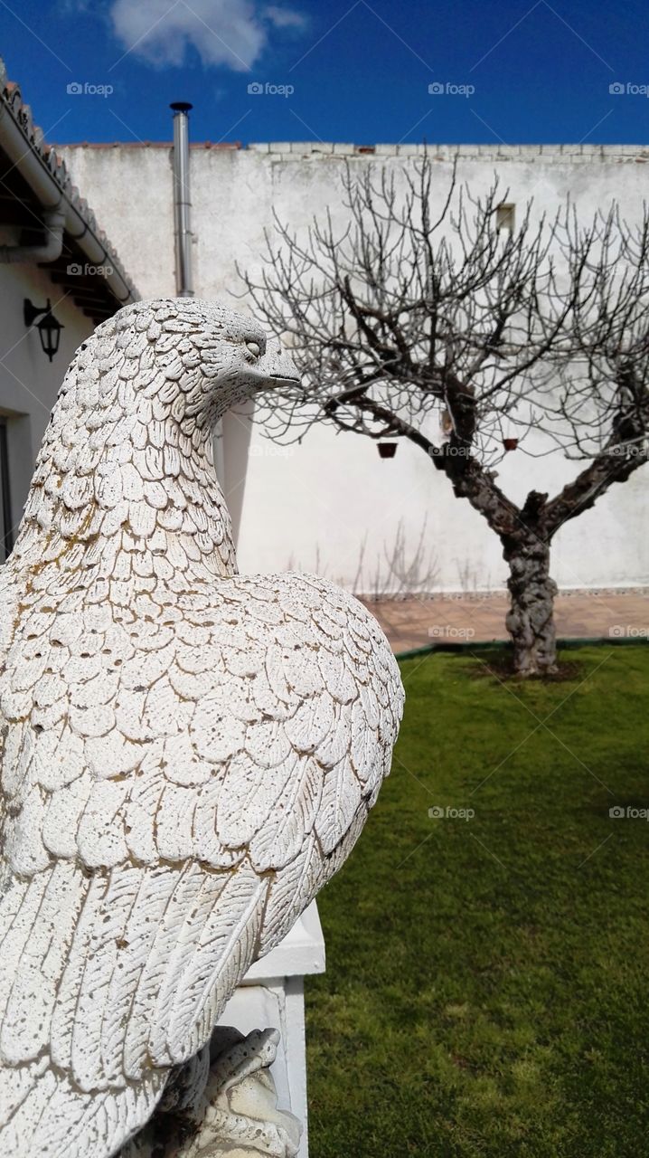 one eagle made of white stone in a garden