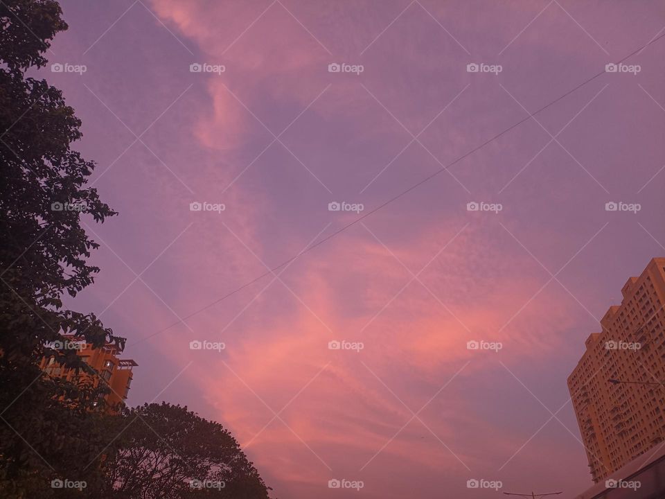 The evening sky transformed into a breathtaking canvas of soft pink hues, casting a serene glow over the horizon as the sun gracefully dipped below. Delicate wisps of clouds seemed to blush, merging with the cotton candy tones.