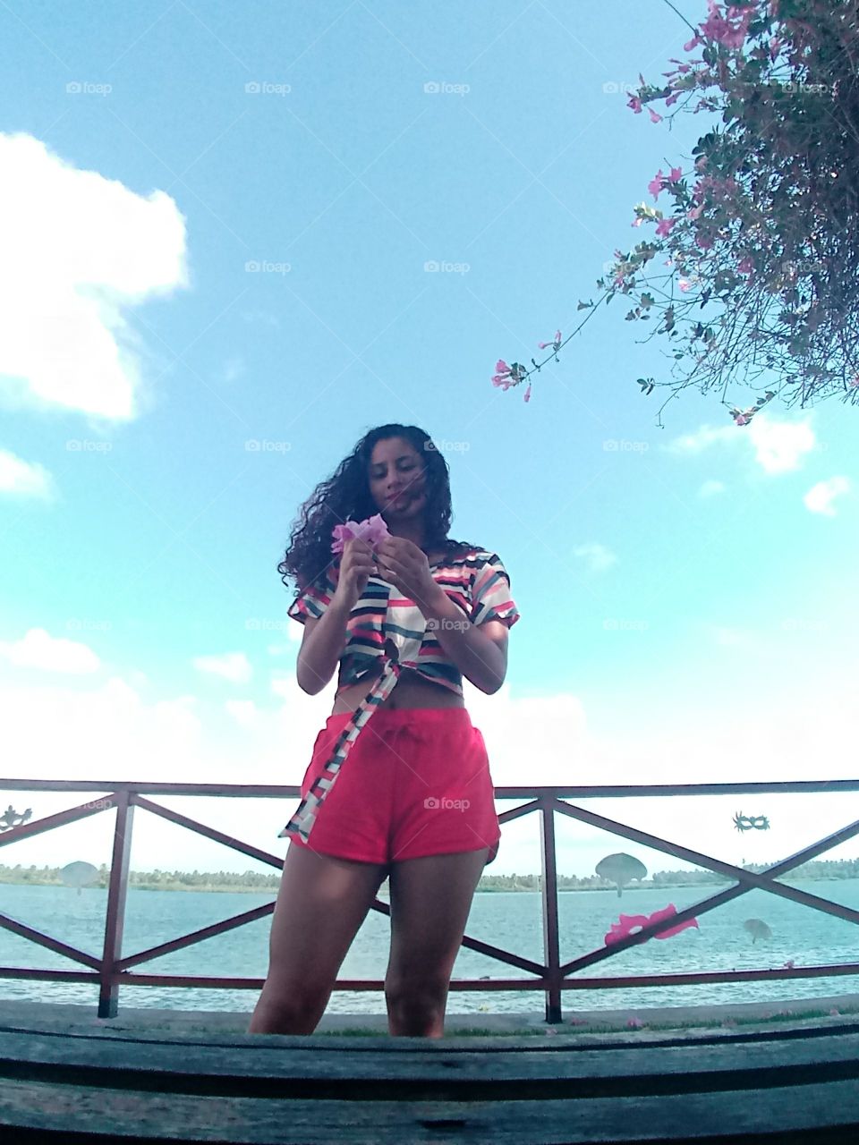 Qual das flores que caiu da planta?