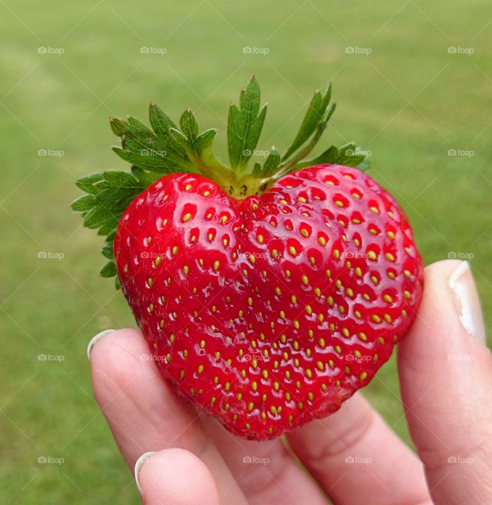 heartshaped Strawberry