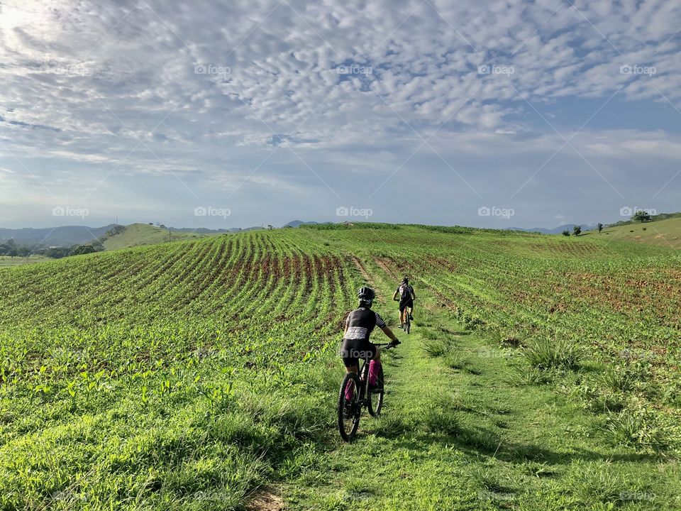 Trilha de bike. 