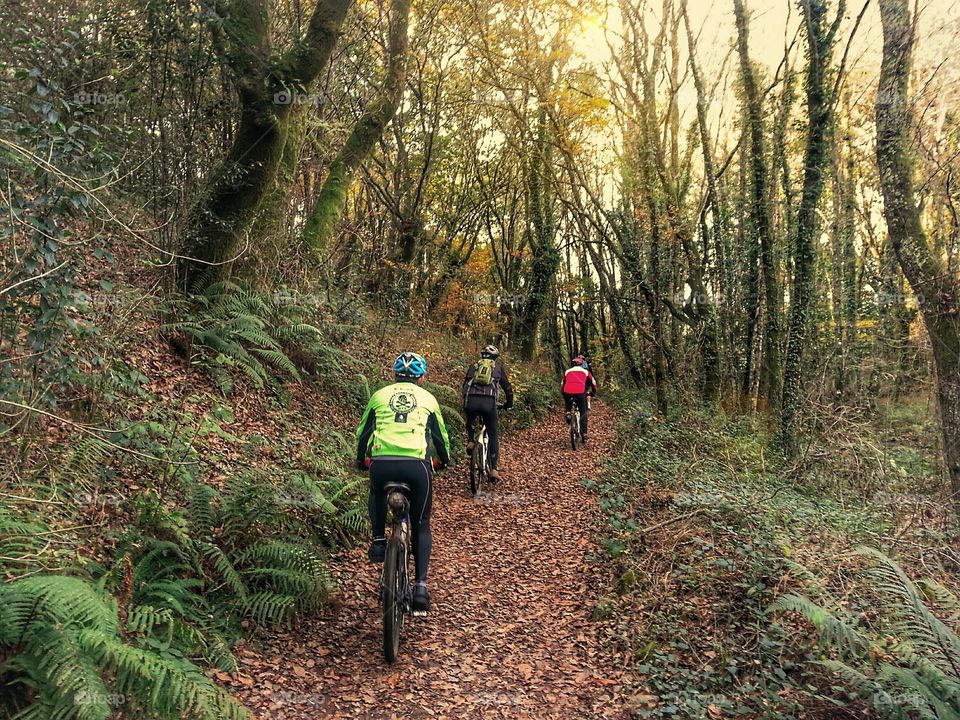 Autumn cycling