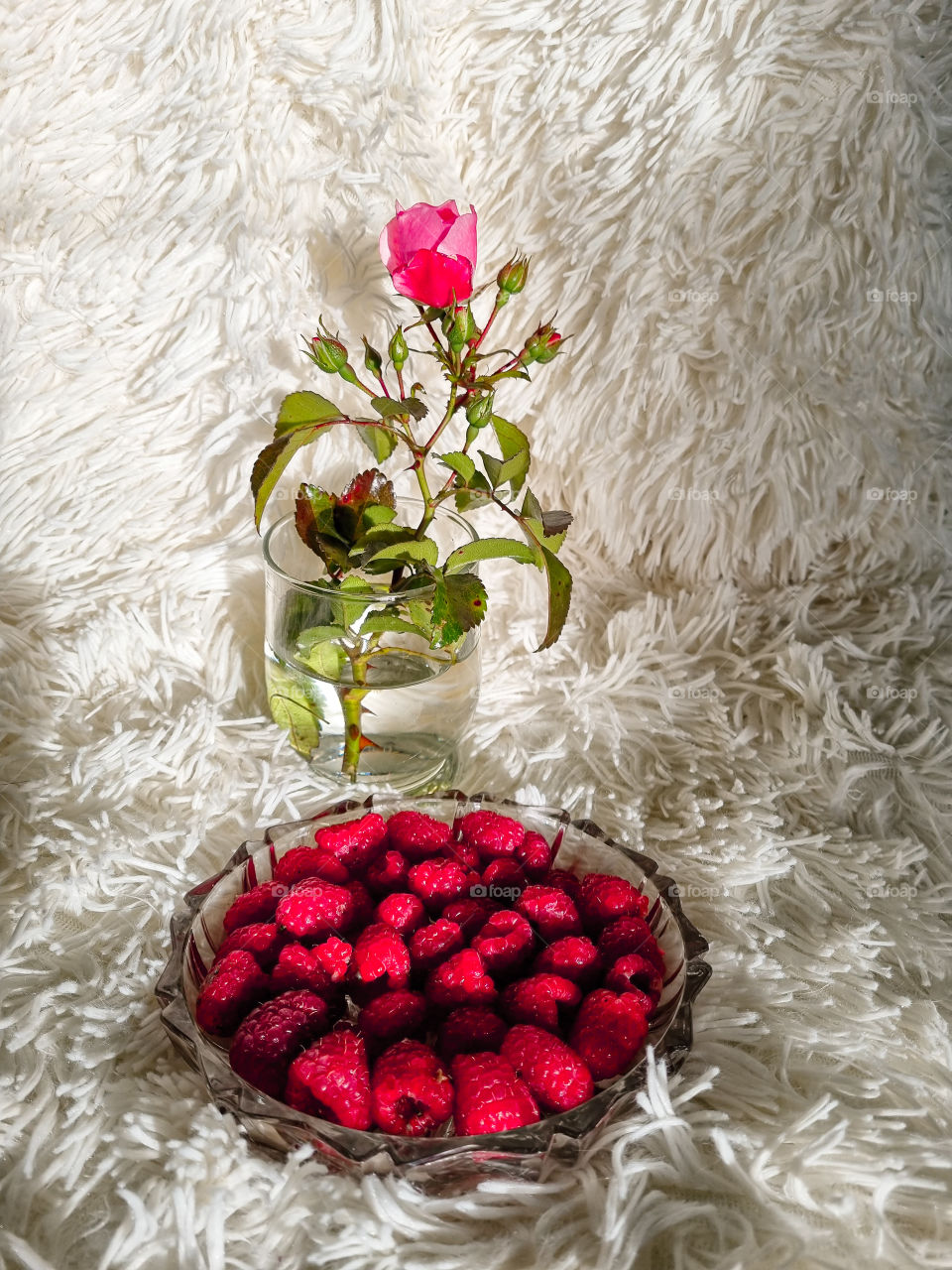 I love raspberries so much I had a healthy snack at lunch before the food was ready. Best snack ever.