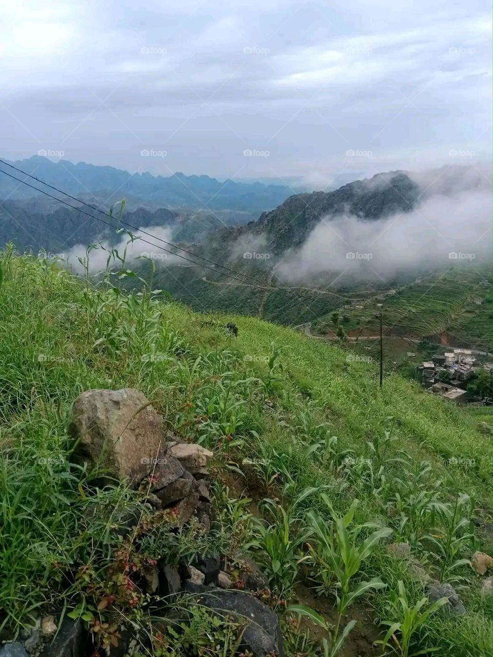 Glory be to God, the magnificent and picturesque view and the natural green trees are a view that is nothing more wonderful than it