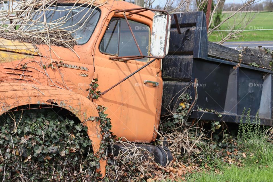 Truck overgrown with weeds