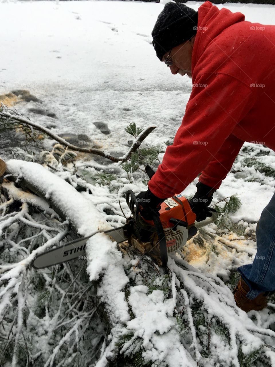 Stihl Chainsaw Cutting Fallen Pine Limb