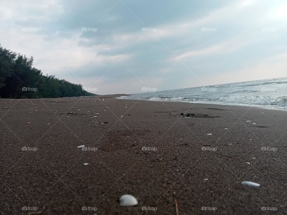 sand beach with shell