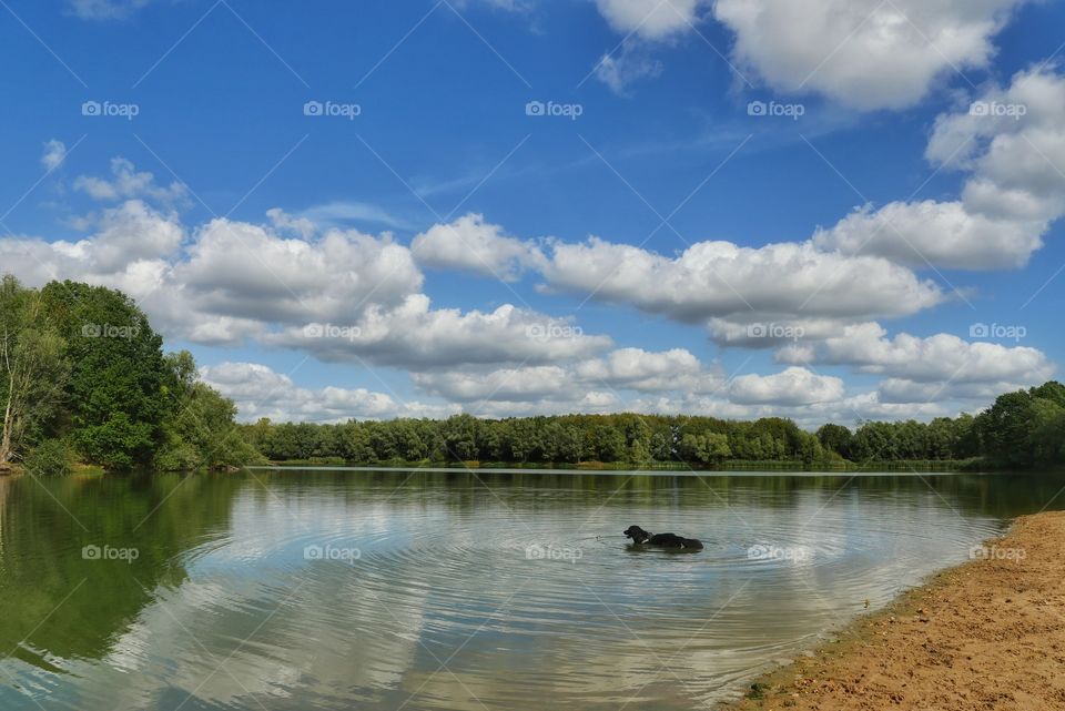 Lake view