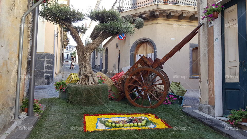 infiorata tra fiori e frutta a Sant'Alfio (CT)