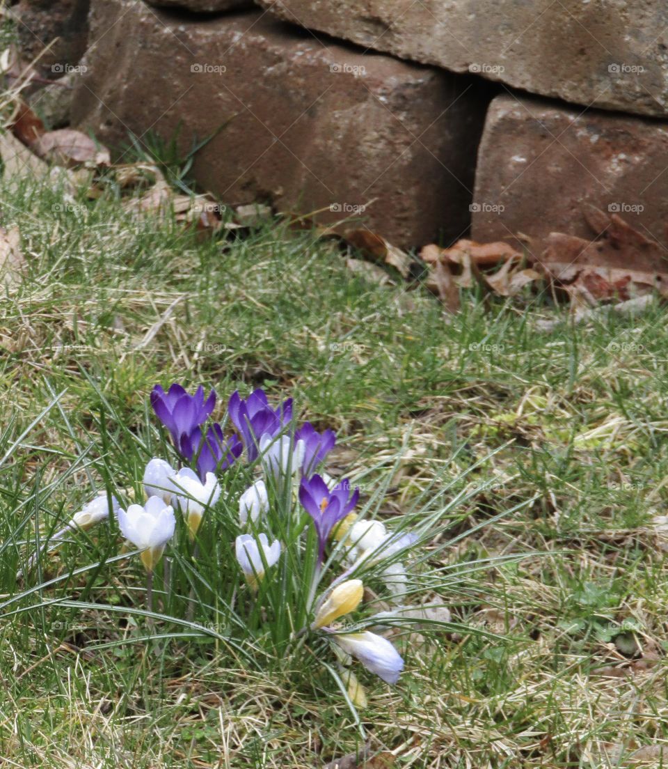 Signs of spring 