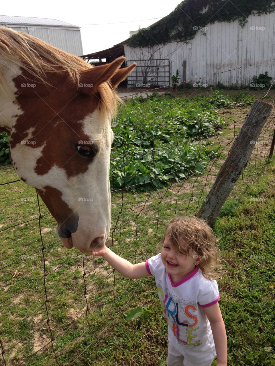 Our buddy Cody. Time for treats.. My daughter feeding our quarter horse paint gelding