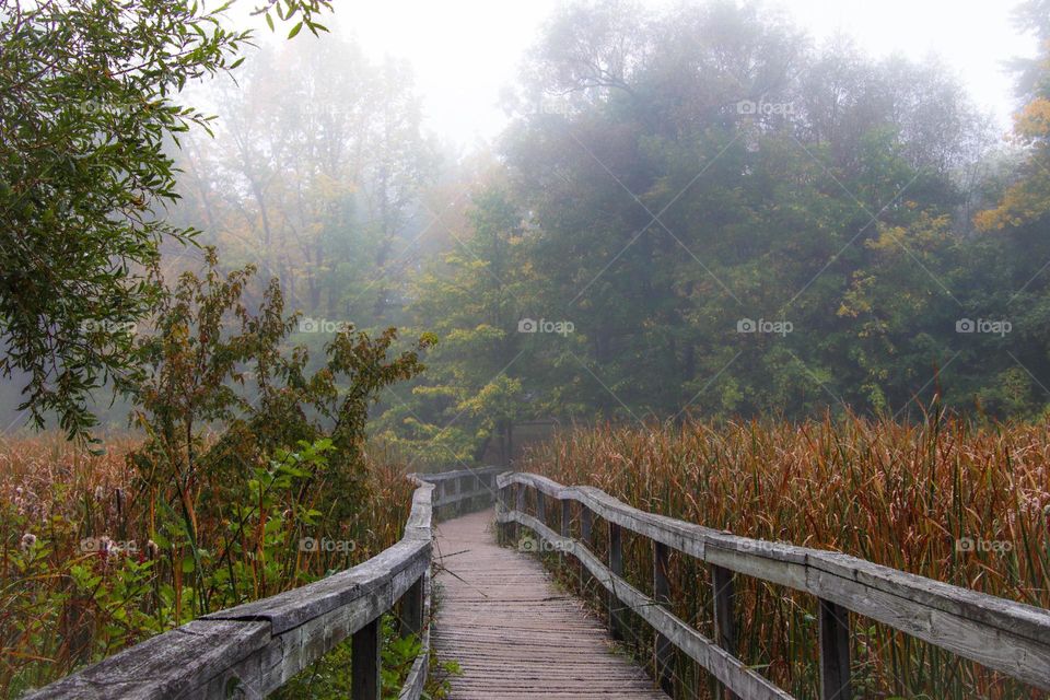 Quiet foggy autumn morning