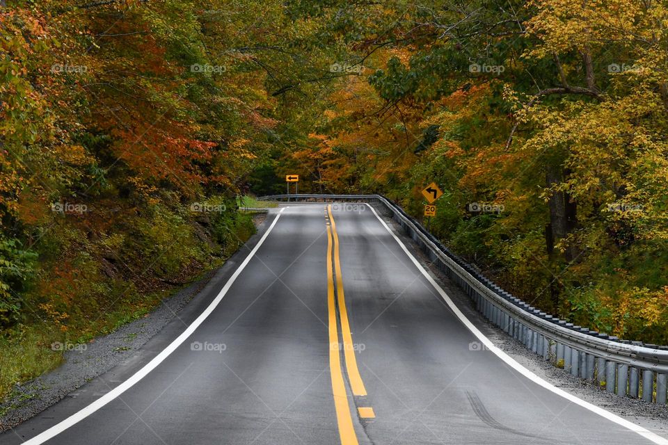 Driving into Autumn