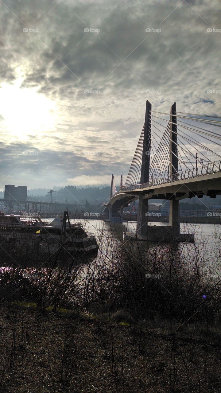 tilikum crossing