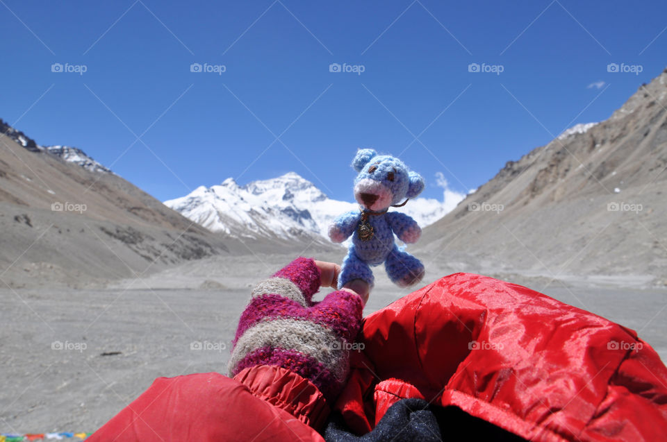 Blue bear at Everest 