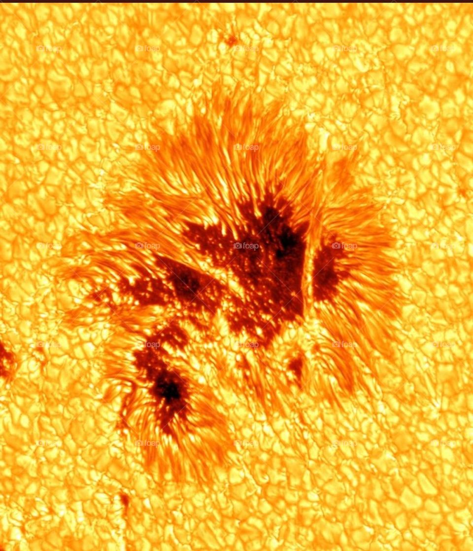 She expresses herself