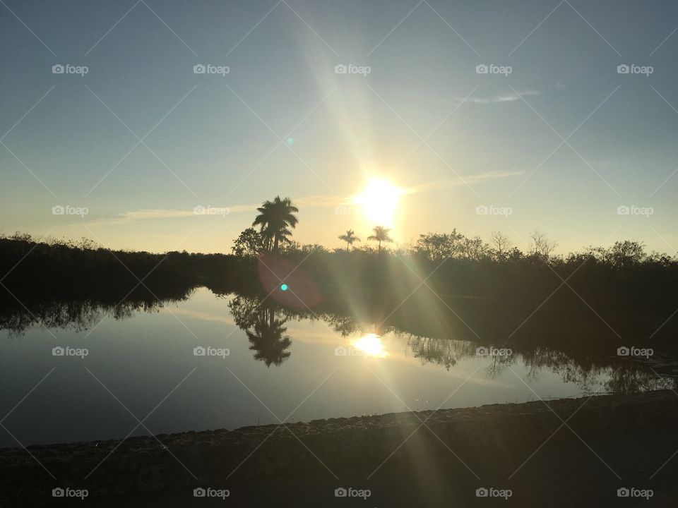 Sunrise Everglades 