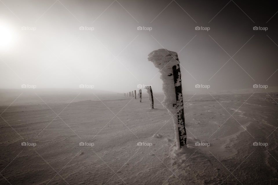 Poles in a snowstorm