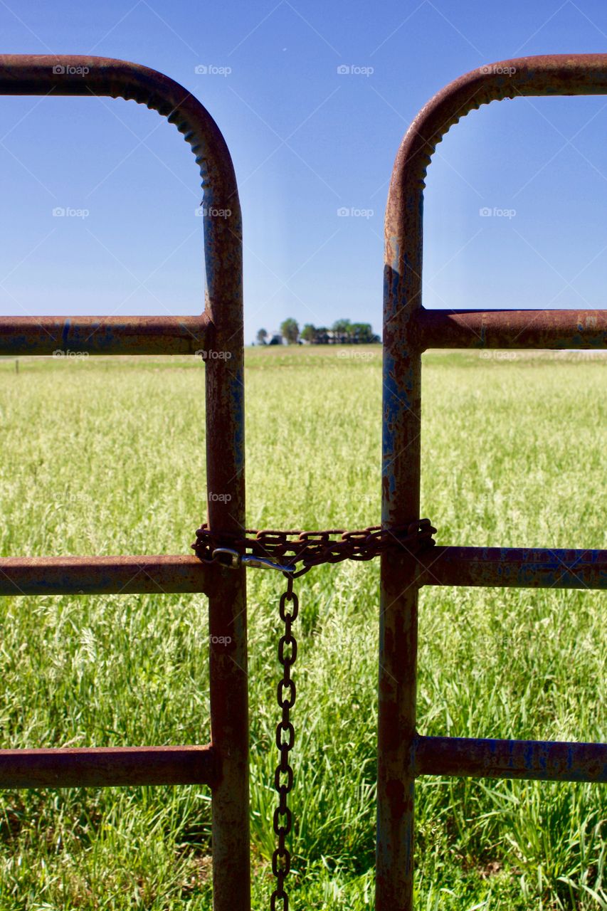 Chain wrapped fence panels on the edge of a beautiful, sunny hayfield with blurred trees on the distance 